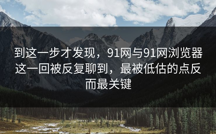 到这一步才发现，91网与91网浏览器这一回被反复聊到，最被低估的点反而最关键