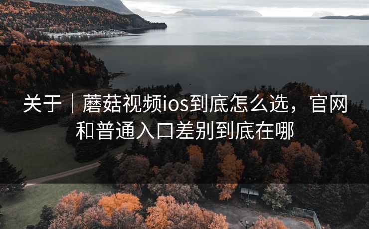 关于｜蘑菇视频ios到底怎么选，官网和普通入口差别到底在哪