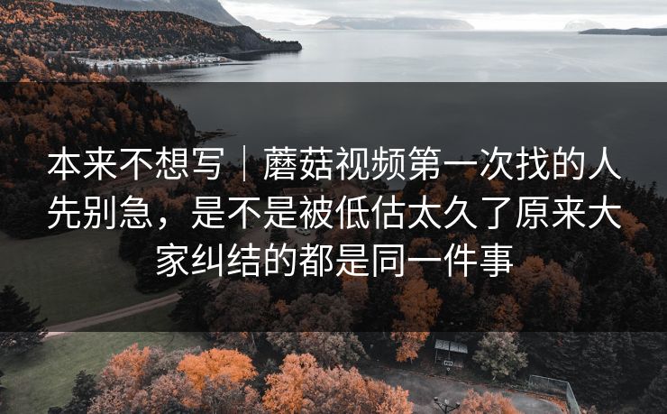 本来不想写｜蘑菇视频第一次找的人先别急，是不是被低估太久了原来大家纠结的都是同一件事