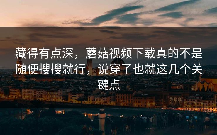 藏得有点深，蘑菇视频下载真的不是随便搜搜就行，说穿了也就这几个关键点