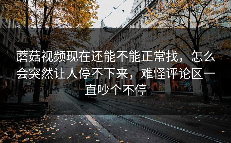 蘑菇视频现在还能不能正常找，怎么会突然让人停不下来，难怪评论区一直吵个不停