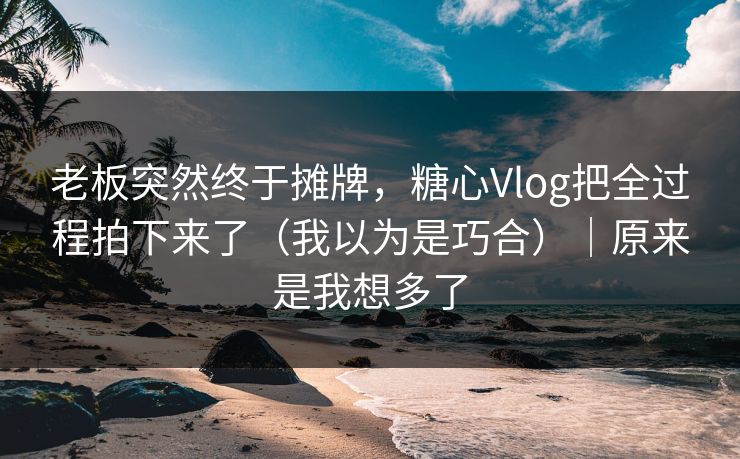 老板突然终于摊牌，糖心Vlog把全过程拍下来了（我以为是巧合）｜原来是我想多了
