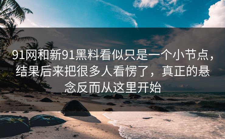 91网和新91黑料看似只是一个小节点,结果后来把很多人看愣了,真正的悬念反而从这里开始 91网和新91黑料看似只是一个小节点,结果后来把很多人看愣了,真正的悬念反而从这里开始